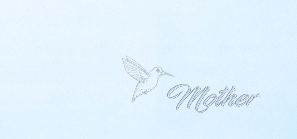 BL Faux (Mother Hummingbird) PROOF1